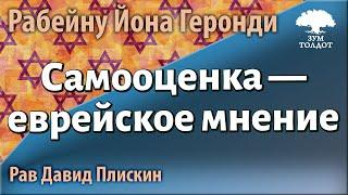 Самооценка — еврейское мнение. Рав Давид Плискин