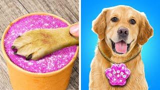 My Dog Is The Best!  Cool Hacks, Easy Gadgets & Fun DIYs For Your Furry Friend