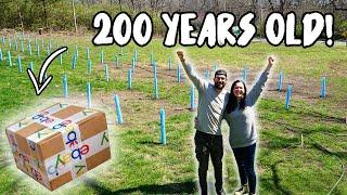 We Bought AMERICA'S OLDEST GRAPES from EBAY and PLANTED A VINEYARD!