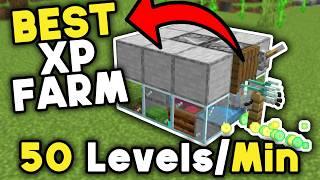 Easiest XP Farm Minecraft Bedrock 1.21 (2025)