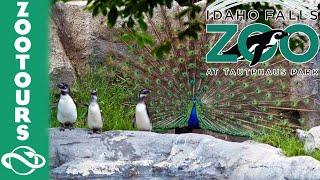 Idaho Falls Zoo Tour Part 2 - Planet Zoo Inspiration