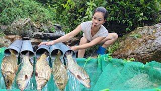 Ana used PVC pipe to trap fish in the stream. Unexpectedly caught a lot of fish. | Ana fishing