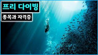 프리다이빙 이론 - 종목과 자격증