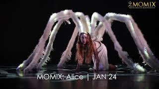 MOMIX: Alice coming to The Lincoln Center January 24, 2024!