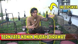 GAMPANG NGGA SIH MERAWAT KONIN ???