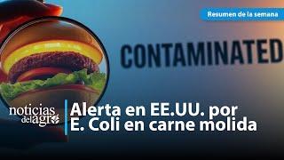 EE.UU. en Alerta Máxima por Brote de E. Coli en Carne de Res Molida