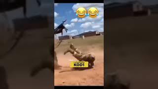  #pubgmobile #bgmi #funnyshorts #bgmimemes