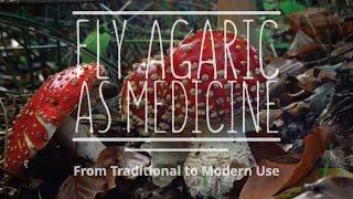 Fly Agaric as Medicine: From Traditional to Modern Use (with Kevin Feeny, PhD)