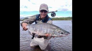 Alaska Trophy Adventures   Fishing the Alagnak River - Where Wise Men Fish