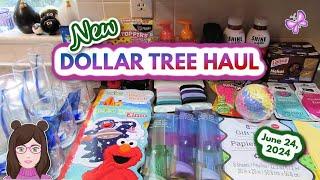 Awesome Dollar Tree Haul! June 24, 2024 #dollartree
