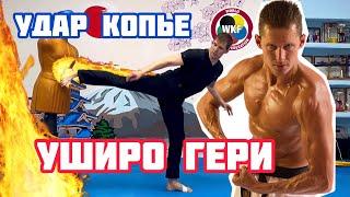 Уширо гери, секрет, как сделать удар ногой с разворота Uhiro geri karate