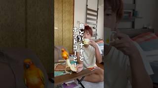 鳥とバナナとホットコーヒー️ #インコ #インコのいる生活 #cafe #vlog