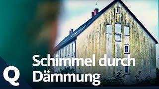 Wie Schimmel sich in und an Häusern festsetzt | Quarks