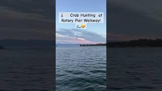 Crab Hunting  at Rotary Pier Walkway, Vancouver Island, Canada.