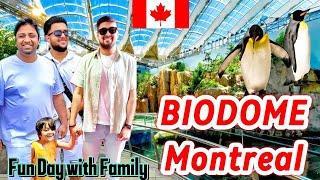 Ultimate Family Adventure at Montreal's Biodome with Lovely Penguins  | #desivloggerofcanada