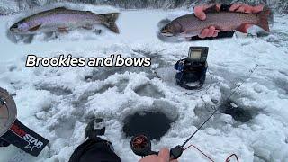 First Ice Brook Trout and Rainbow Trout (Thin Ice)