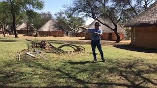 Black Mamba Handling Course by African Snakebite Institute