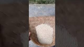 hand made tools for using rice cleaning...