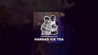 Gawryle ft. Dawid, Artysta - Harnaś Ice Tea