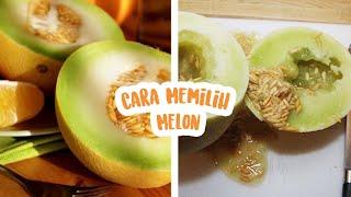 Cara Mudah Memilih Melon Yang Matang Sempurna Dan Manis