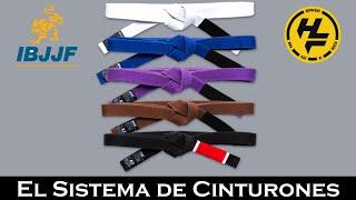 BJJ  | Sistema de CINTURONES EN JIU JITSU 🟣🟤 [Cintas BJJ]