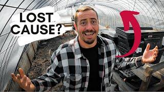 Is The Greenhouse Fixable Or Just Junk?