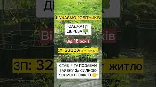 Робота без досвіду | вакансії в Україні #робота #вакансії