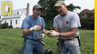 Chain Cent | National Geographic