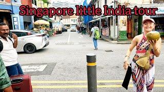 Singapore little India walking tour @aliday tour