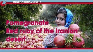 Pomegranate Red ruby ​​of the Iranian desert