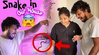 WE FOUND SNAKE IN OUR HOUSE  PRANK on Family