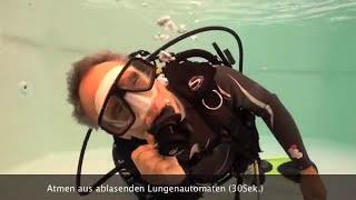 Open Water Diver Skills