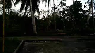 SUasana kebun depan rumah