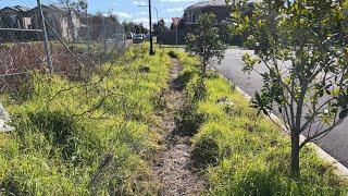 Is this the WORLD'S WORST maintained footpath? I clean it up for the public to use!