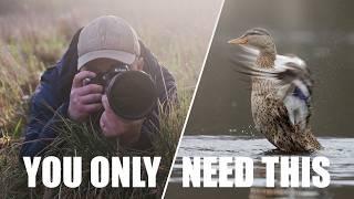 One Wildlife Photography Tip That will Give You Stunning results