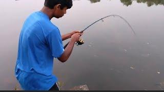 Fishing in Goa | India #fishing #fishingindia #goafishing #fishingvideo