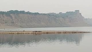 chambal Safari morena- dhoulpur