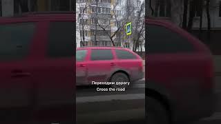 The way to get Skrepka Expo ( in Timiryazev Centre exhibition complrx) from metro station.