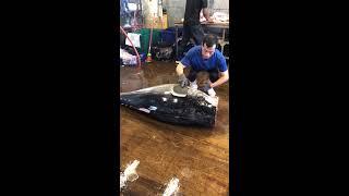 Bluefin Tuna Cutting Skill