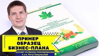 Пример бизнес-плана. Образец бизнес-плана. Как выглядит бизнес-план? Что показать инвестору?