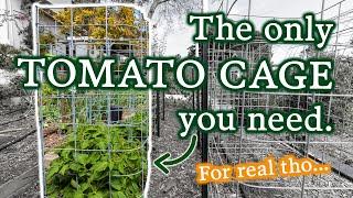You Asked For It! The Beefiest DIY Tomato Cage (& Bad Jokes)