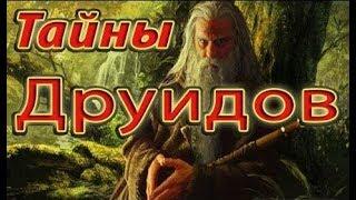 Тайны друидов. Магия природы.