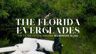 A Fisherman's DREAM | Exploring Everglades National Park