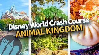 Disney World Crash Course -- Animal Kingdom