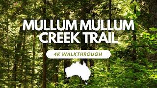 4K WALKTHROUGH | Mullum Mullum Creek Trail, Melbourne