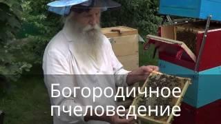 Архимандрит, Отец Никодим о Богородичном Пчеловедении