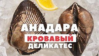 Самый дорогой деликатес! Как готовят анадару? Необычный моллюск с Дальнего Востока