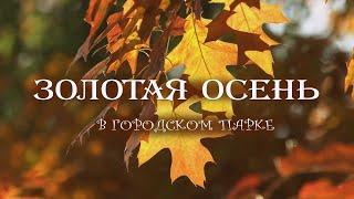 Красивая осенняя музыка для души - погружение в атмосферу золотой осени - славянские гусли