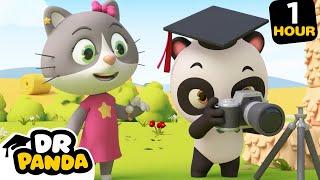 The Photographer | Funny Cartoons For Kids | Dr.Panda | 9 Story Kids