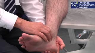 Ankle and Foot Examination Demonstration